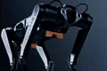 PANTERA NEAGRA ROBOT jpg