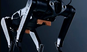 PANTERA NEAGRA ROBOT jpg