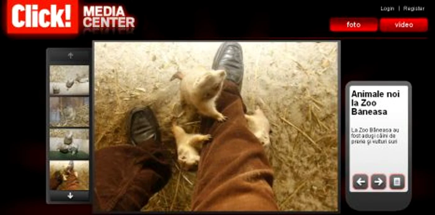 Galerie foto - Animale noi la Zoo Băneasa