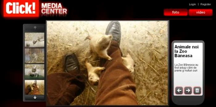 Galerie foto - Animale noi la Zoo Băneasa