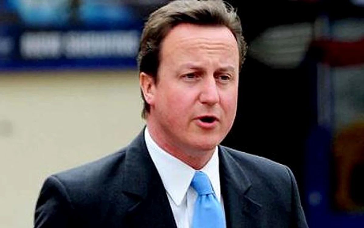 
    Premierul britanic, David Cameron  