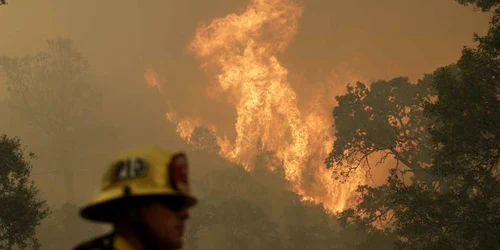 Stare de urgenţă în California din cauza incendiilor de vegetaţie FOTO AP