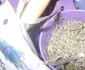 lavanda 2