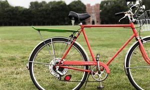 Cum te ajuta aceste modele de disc motocoasa sa mentii sanatatea spatiului tau verde jpg