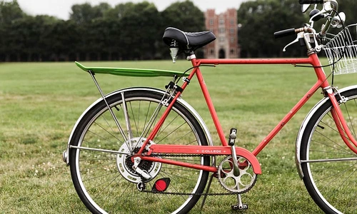 Cum te ajuta aceste modele de disc motocoasa sa mentii sanatatea spatiului tau verde jpg