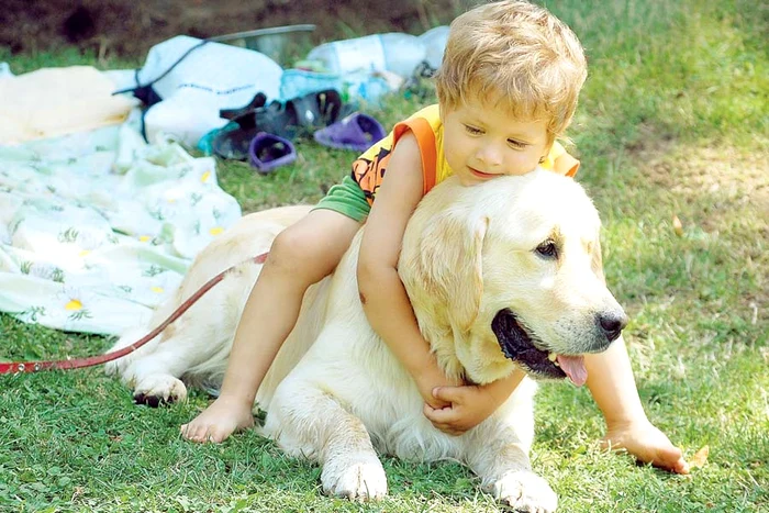 Cere la ACHR date despre crescător