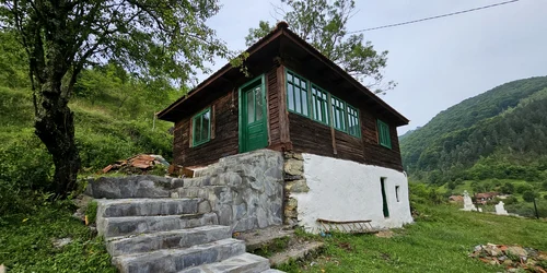 Runcu mare foto Daniel Guță (107) jpg