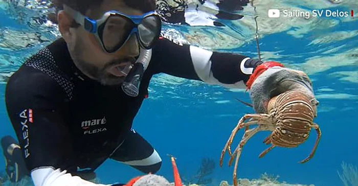 S-au hrănit cu peşte şi cu vietăţi marine