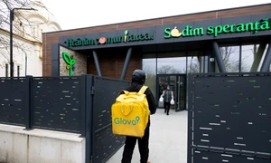 1   TheAccessAlliance jpg