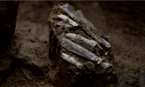 unelte paleolitic cehia jpg