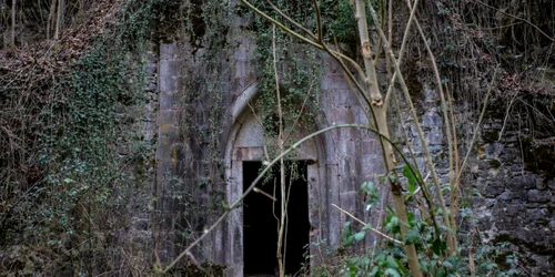 Poeni FOTO prinbanat.ro