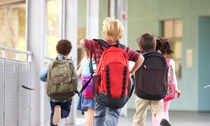 vacantele elevilor jpeg