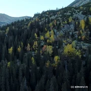 Poiana Pelegii Retezat Imagini aeriene Foto Daniel Guță ADEVĂRUL (25) JPG