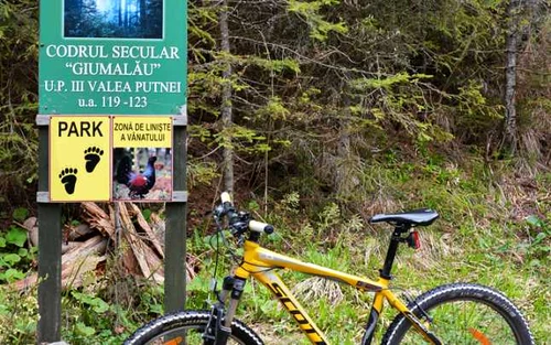 bicicleta codrul secular giumalau. foto