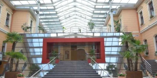 Casa Căsătoriilor are acum şi palmieri