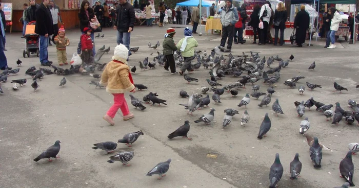 Sambata, 25 februarie, tinerii valceni vor protesta anti-ACTA, in centrul Ramnicului