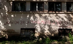Cel mai iubit dintre petrileni jpeg