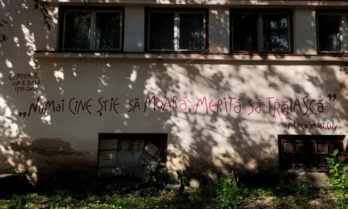 Cel mai iubit dintre petrileni jpeg