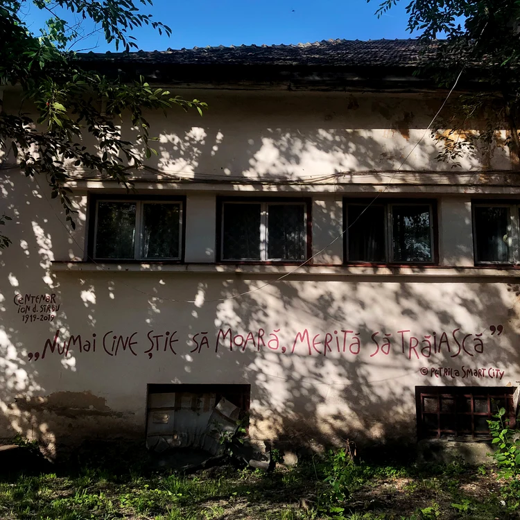 Cel mai iubit dintre petrileni jpeg