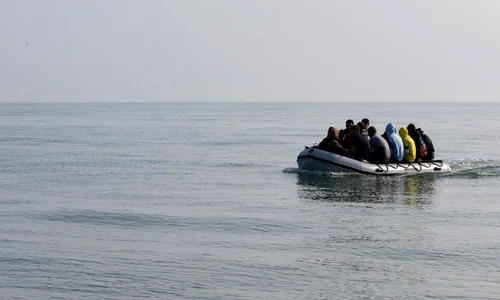 migranti jpeg