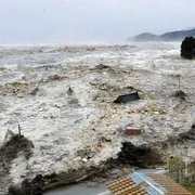 cutremur japonia 2011 jpg