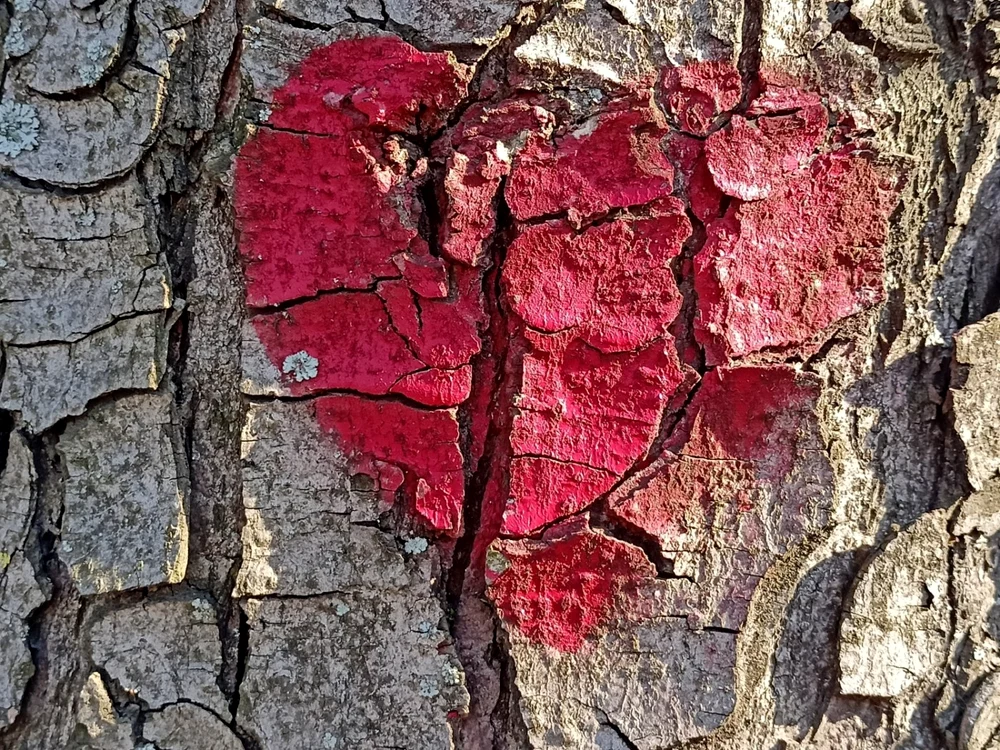 Realme 8 macro