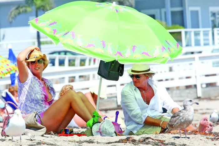 
    La 64 de ani, Rod Stewart se  pune pe treabă  pentru cel de-al optulea copil  