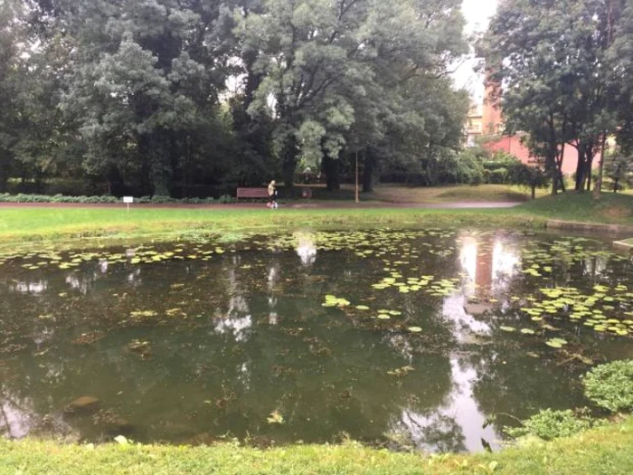Grădina Botanică din Craiova a intrat într-un proces amplu de modernizare