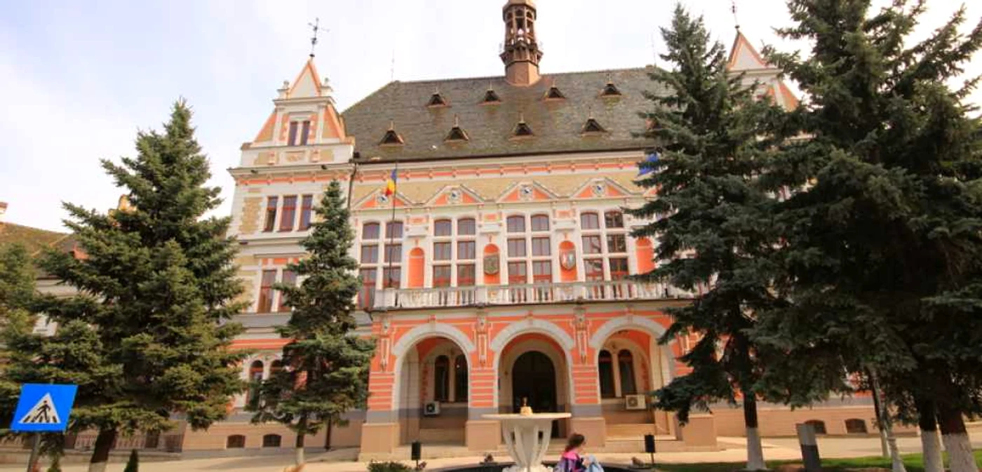 Consiliul Judeţean Hunedoara.