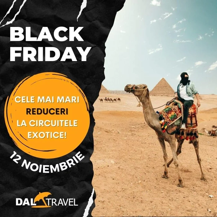 Dal Travel Black Friday 2