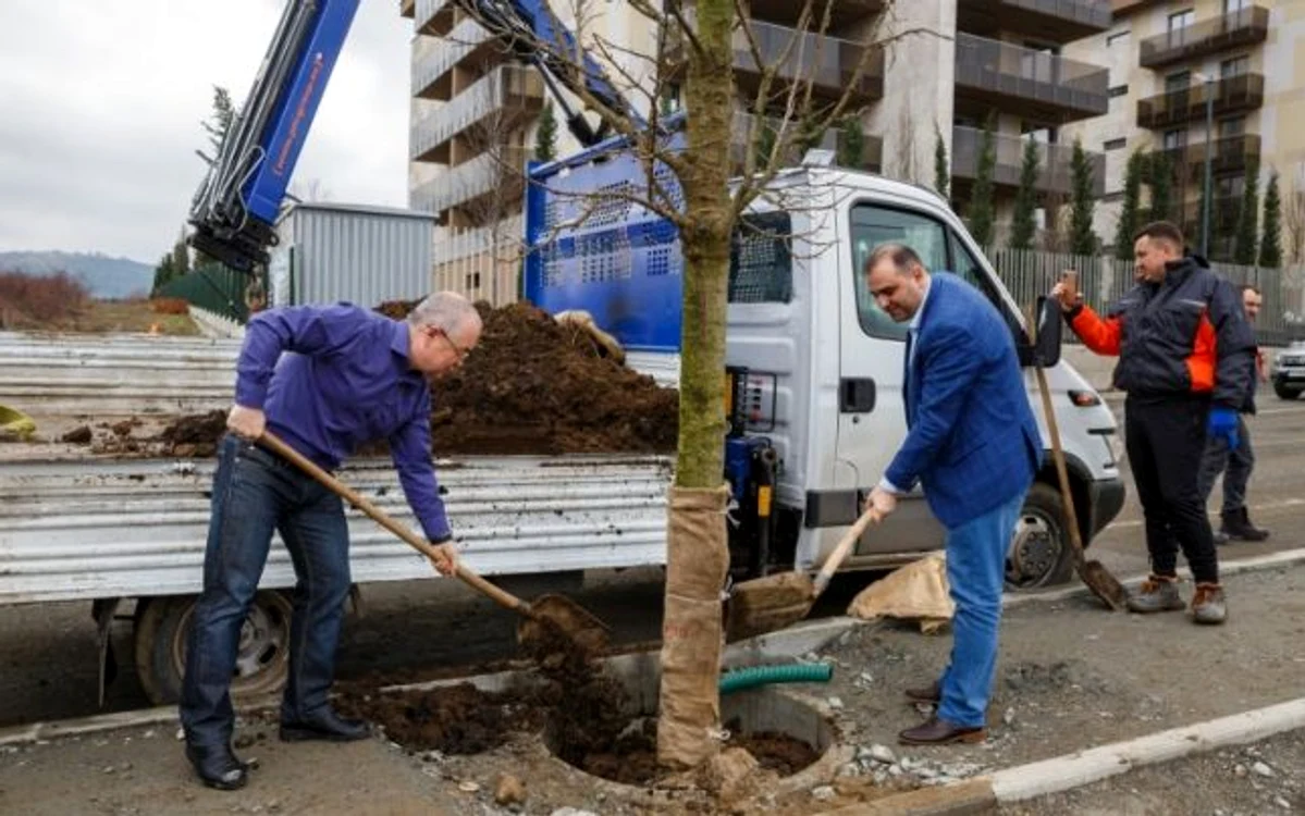 Emil Boc a plantat un arbore în faţa aparatelor foto, dar nu a realizat că îl pune chiar în mijlocul trotuarului