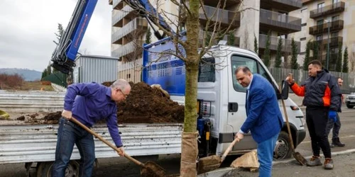 emil boc planteaza copaci