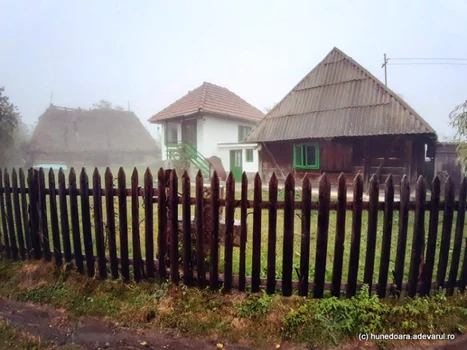 batrana Tinutul padurenilor foto daniel guta