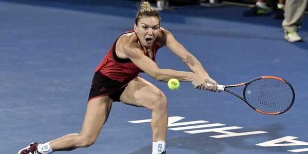 halep