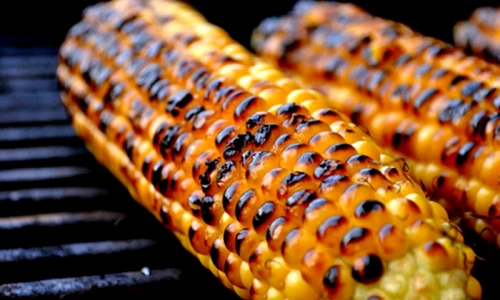 1 afla ce se intampla in organismul tau atunci cand mananci porumb fiert sau copt vbma jpg jpeg