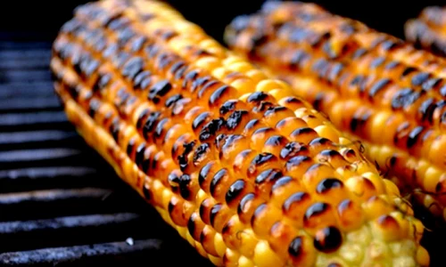 1 afla ce se intampla in organismul tau atunci cand mananci porumb fiert sau copt vbma jpg jpeg