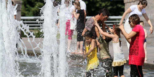 canicula. shutterstock