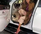 Mădălina Pamfile, prinsă băută la volan foto: Instagram 