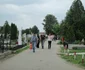 arad