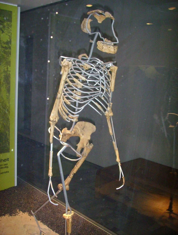 Lucy jpg jpeg