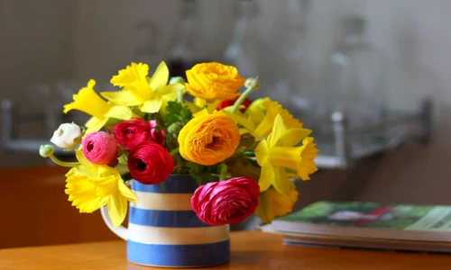 1 76864 original jpg jpeg