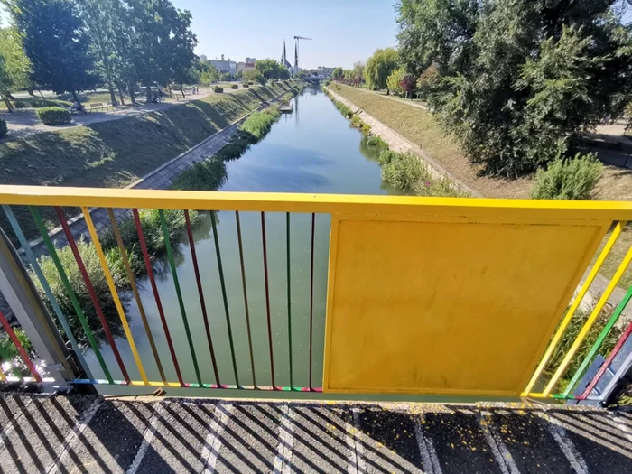 Pasarela de la Uzina de Apă din Timişoara a fost colorată FOTO Ş.Both