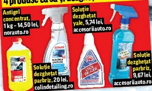 Ghid de  supravieţuire pentru şoferi jpeg