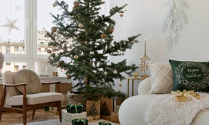 Brad Craciun, foto Shutterstock jpg