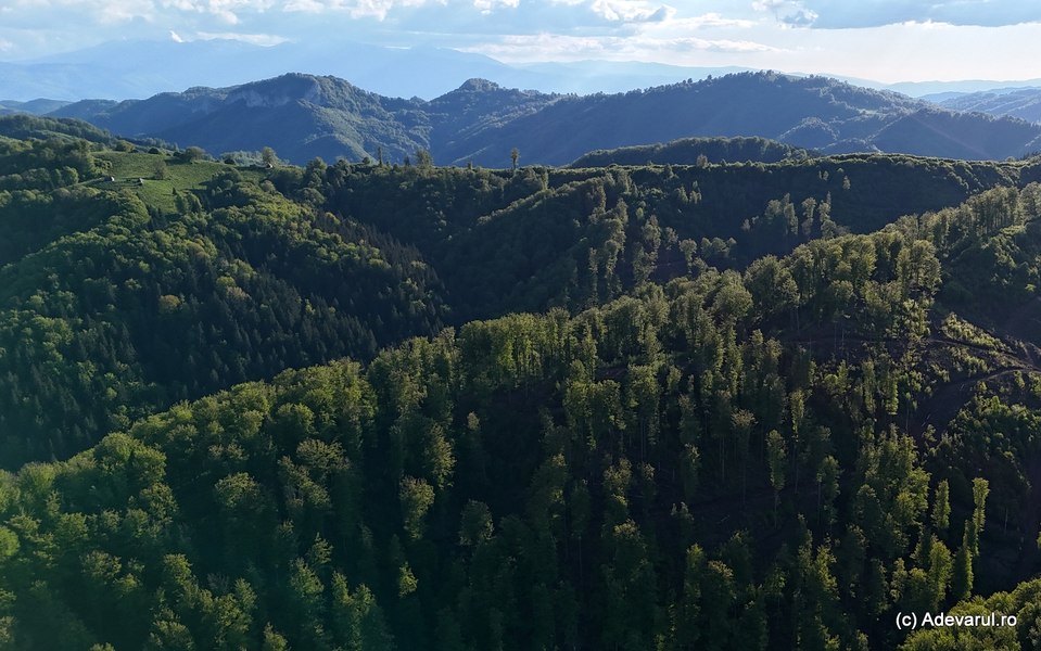 Descoperiri uimitoare în inima Munților Șureanu. Locul tainic unde stânele dacice au ieșit la iveală după două milenii