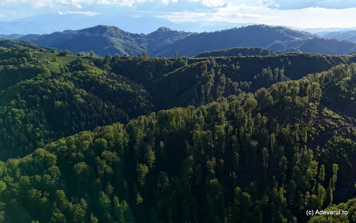 Munții Șureanu, locul stânelor dacice. Foto: Daniel Guță. ADEVĂRUL