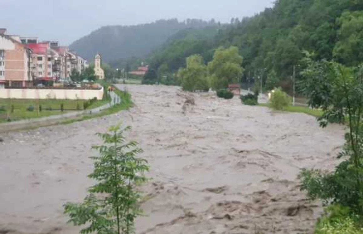 inundatiihd