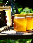 1 honey 352205 1920 jpg jpeg