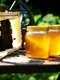 1 honey 352205 1920 jpg jpeg