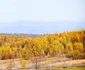 toamna in tinutul padurenilor fotografii claudiu nelega